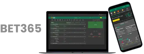 林加德社交,媒体晒首尔,生活片段,香港马会,赛程安排,赛果查询,马匹资料,赛事资讯